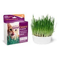 Cat Grass Kit Z6258
