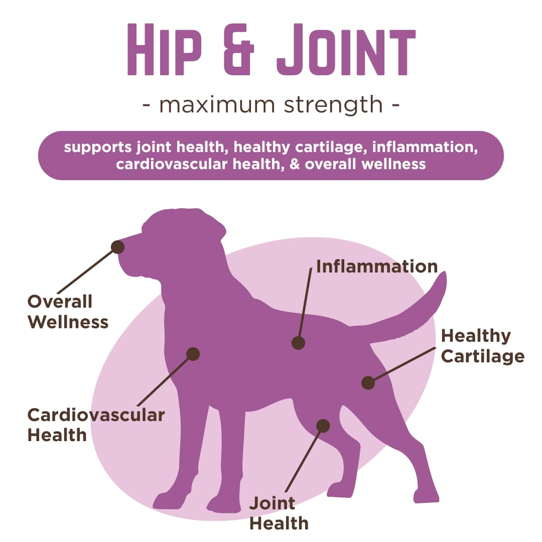 Glucosamine & Chondroitin Dog Joint Supplement Chews, Peanut Butter, 120 Ct T78840