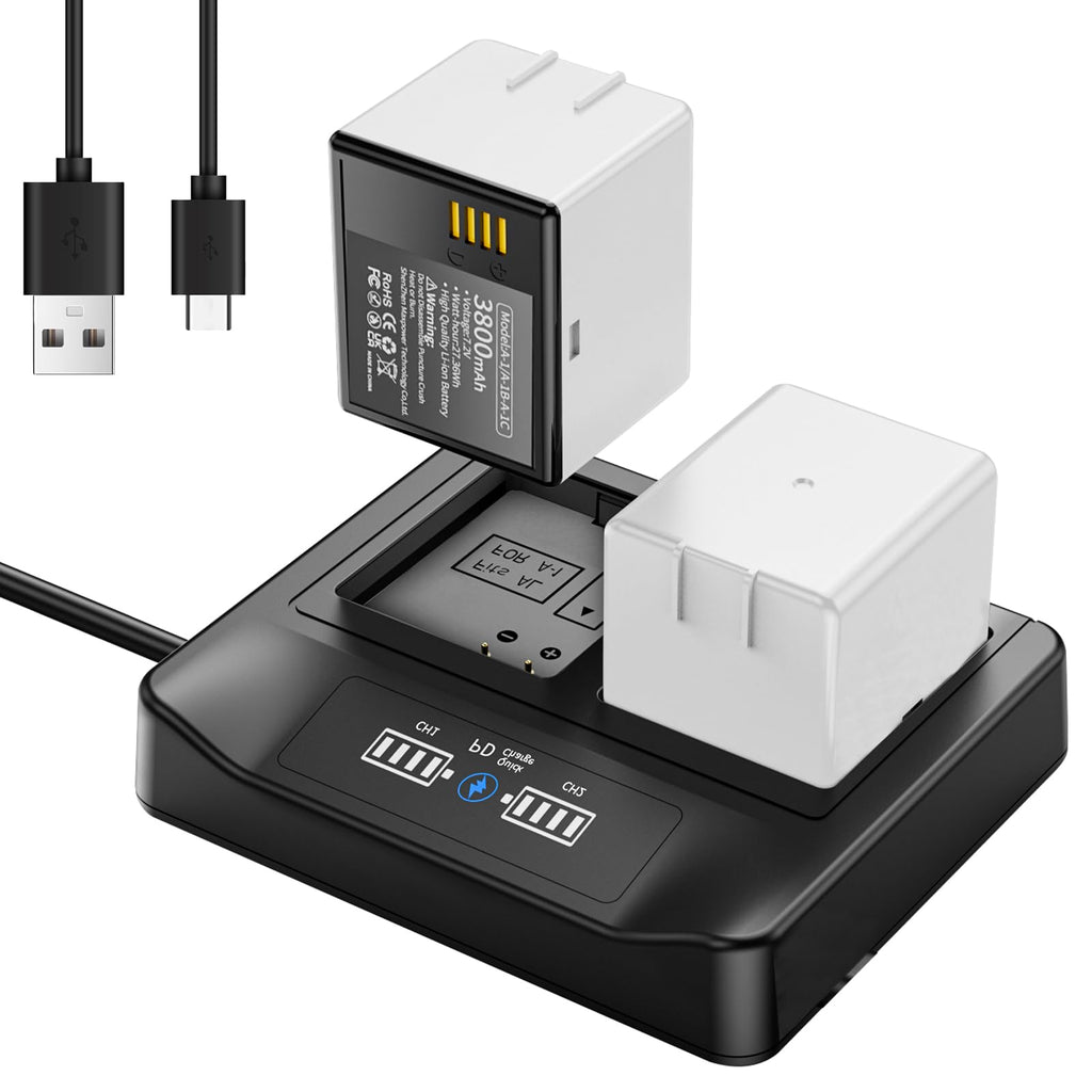 2-Pack Rechargeable Batteries with LCD Dual Charger I9638