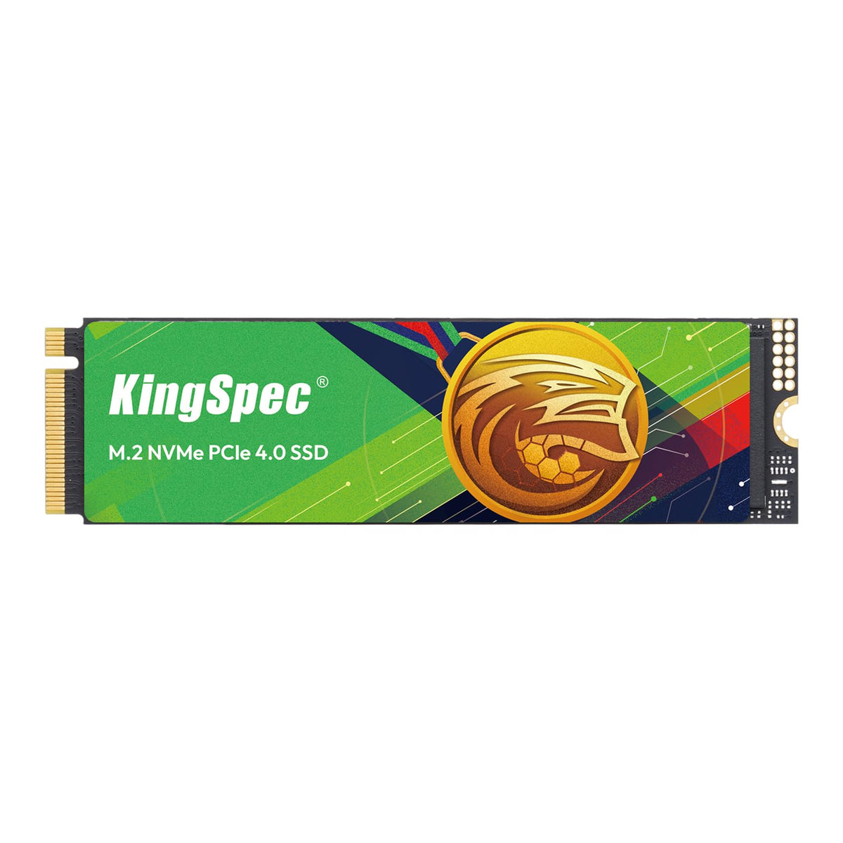 2TB M.2 NVMe PCIe Gen4 SSD B776