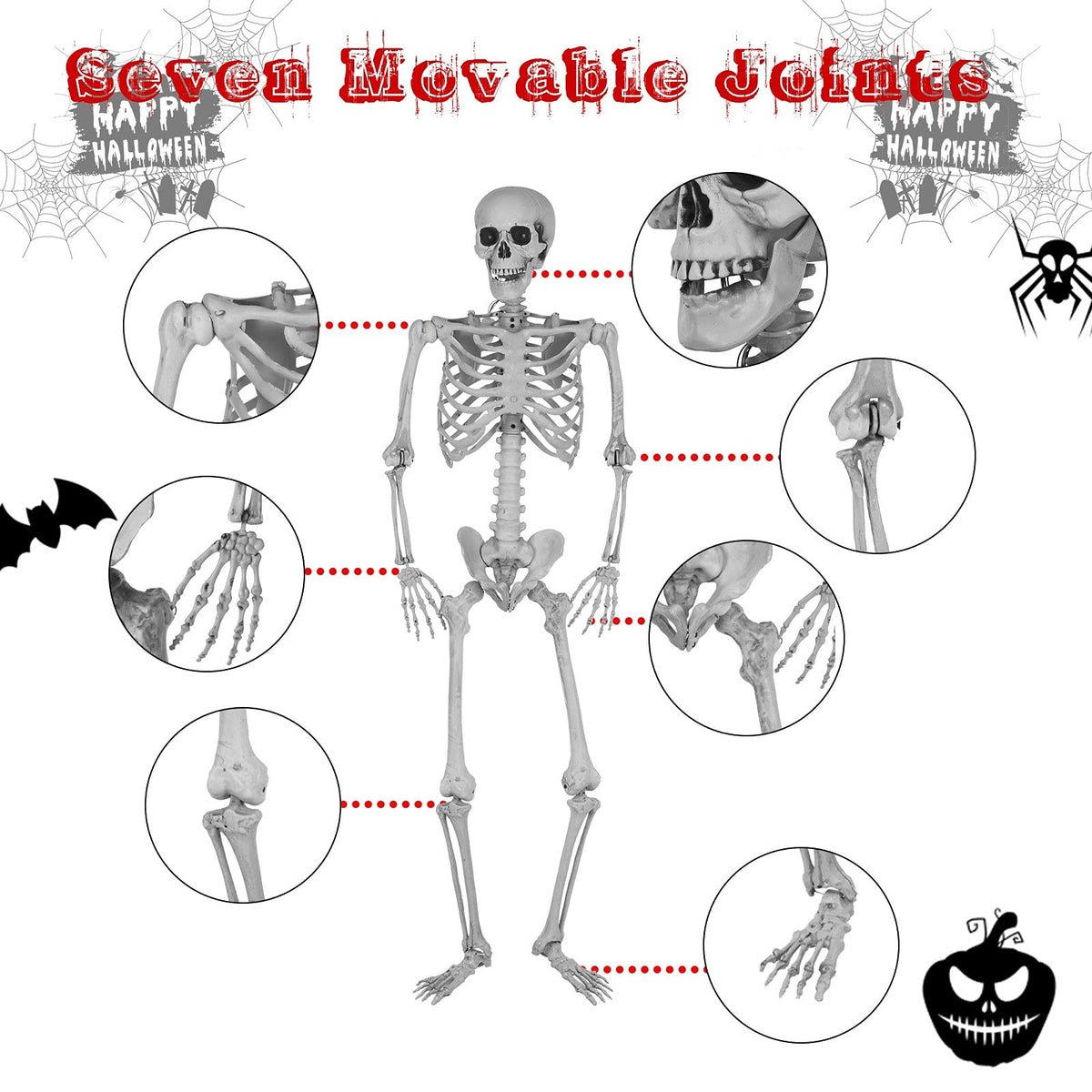5.4ft Full Body Skeleton with Movable Joints U751