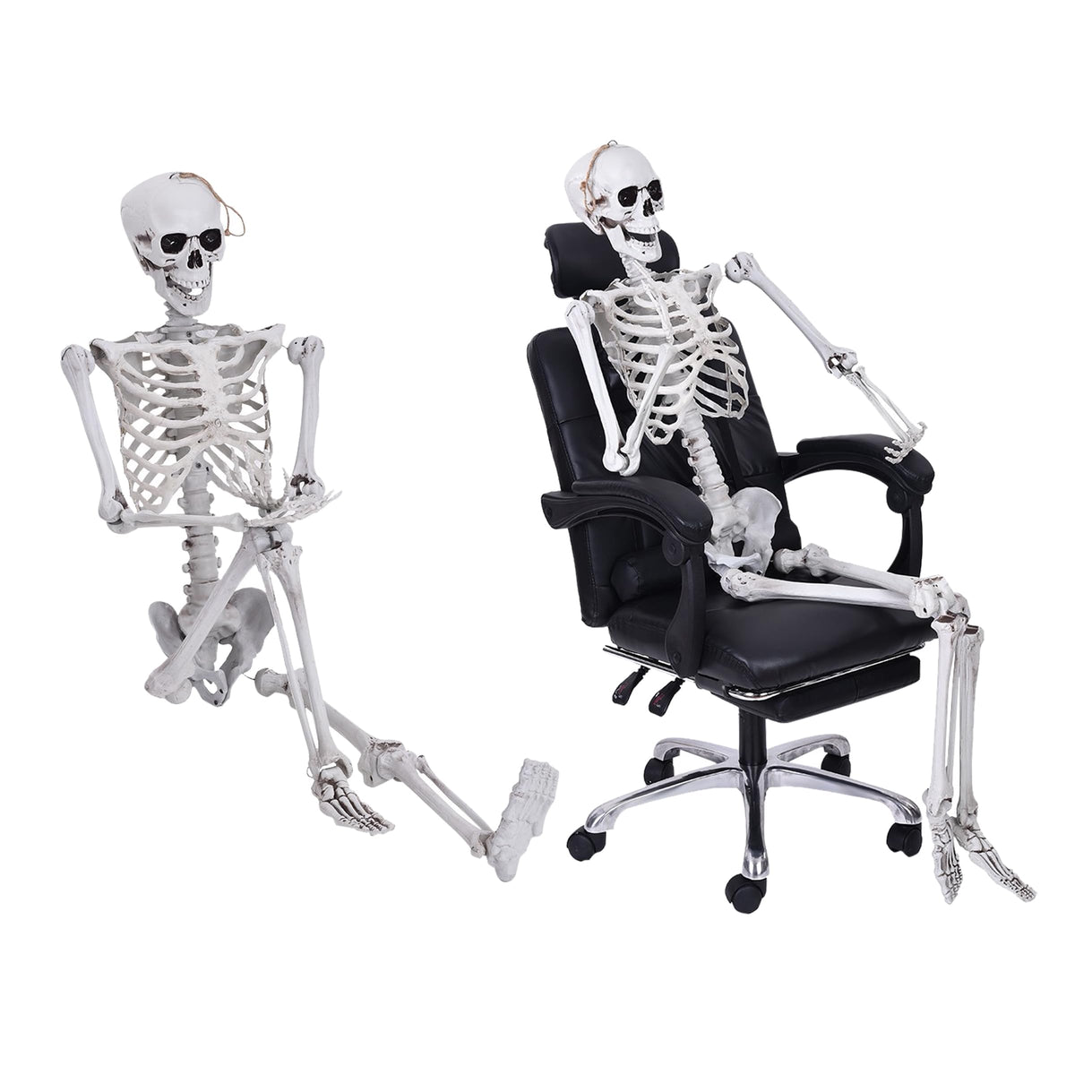 5.4ft Full Body Skeleton with Movable Joints U751