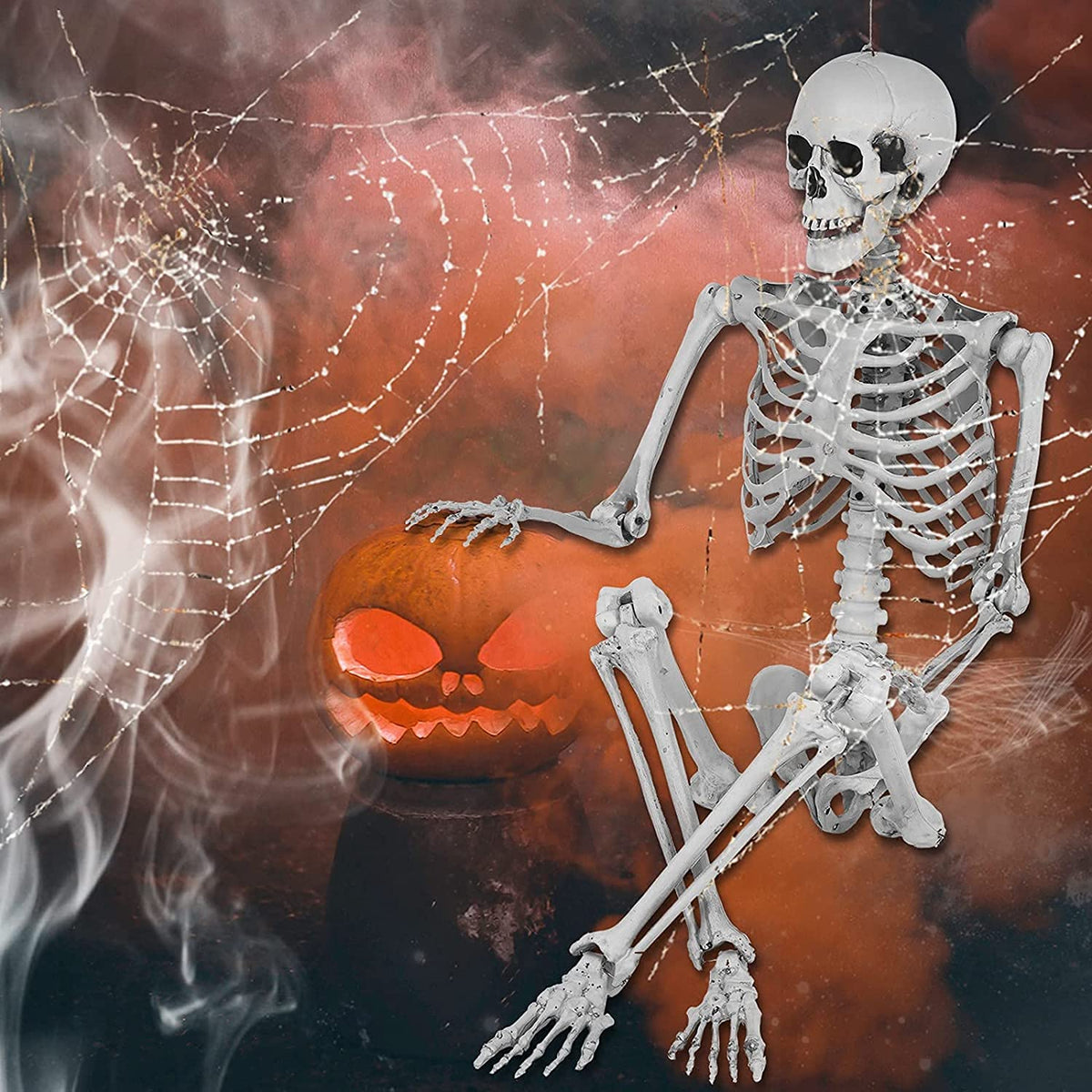 5.4ft Full Body Skeleton with Movable Joints U751