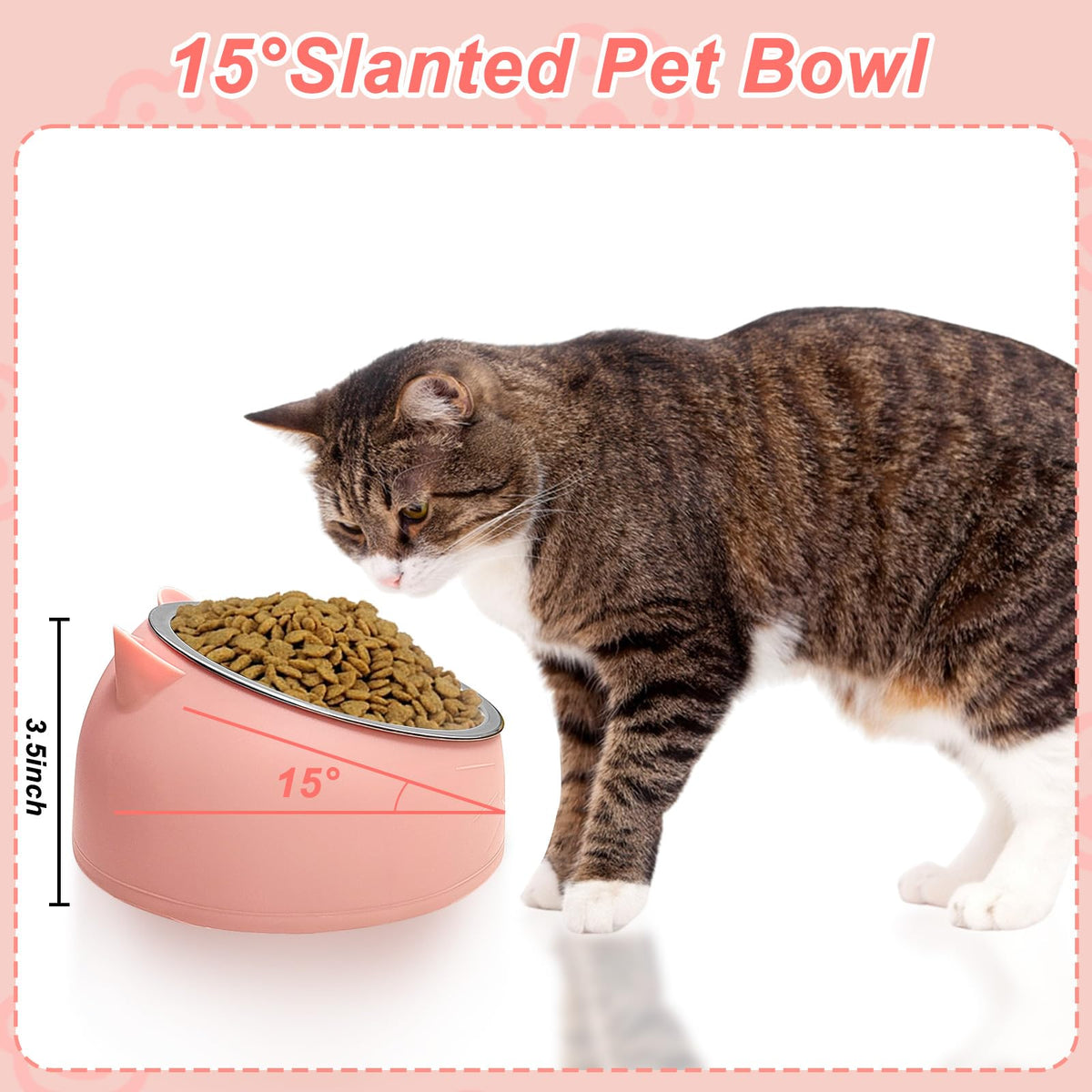 7 Pcs Stainless Steel Raised Cat Food Bowl T465096