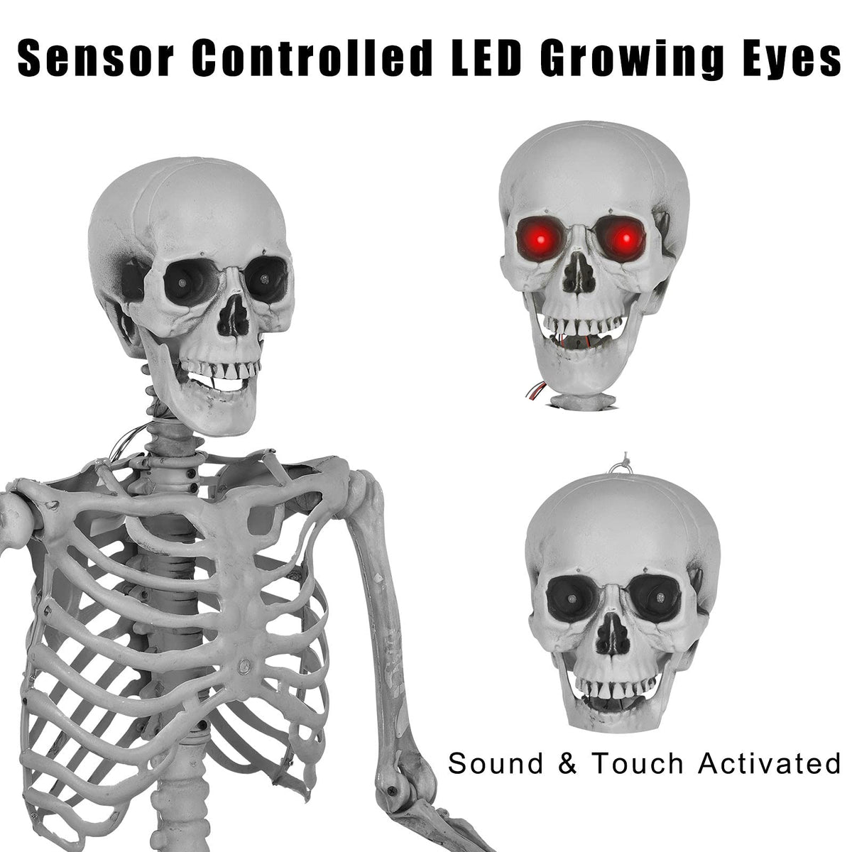 5.4ft Full Body Skeleton with Movable Joints U751