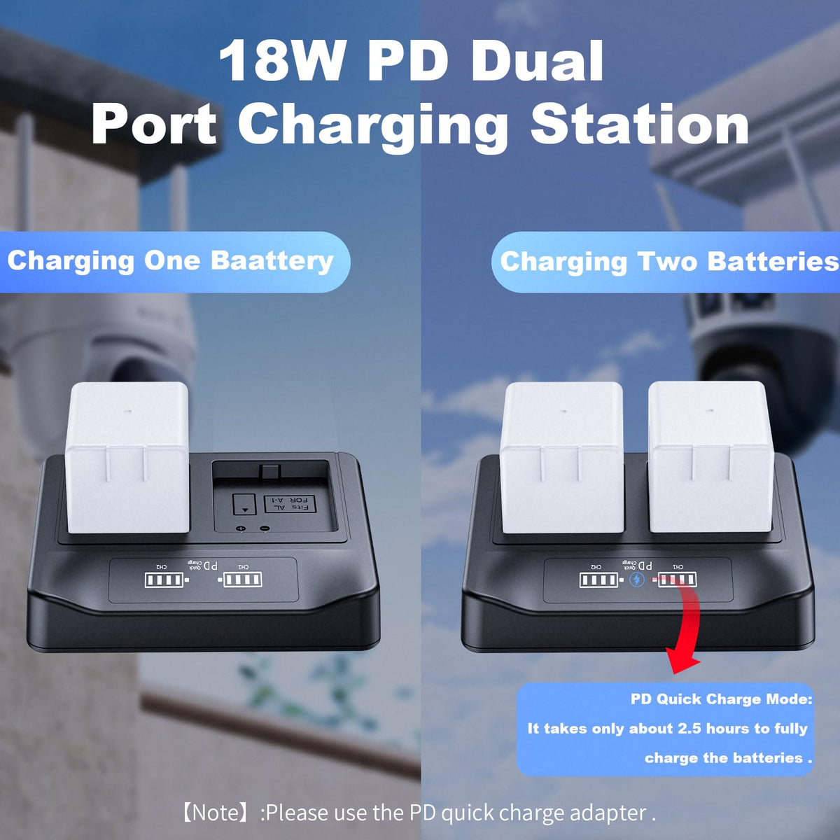 2-Pack Rechargeable Batteries with LCD Dual Charger I9638