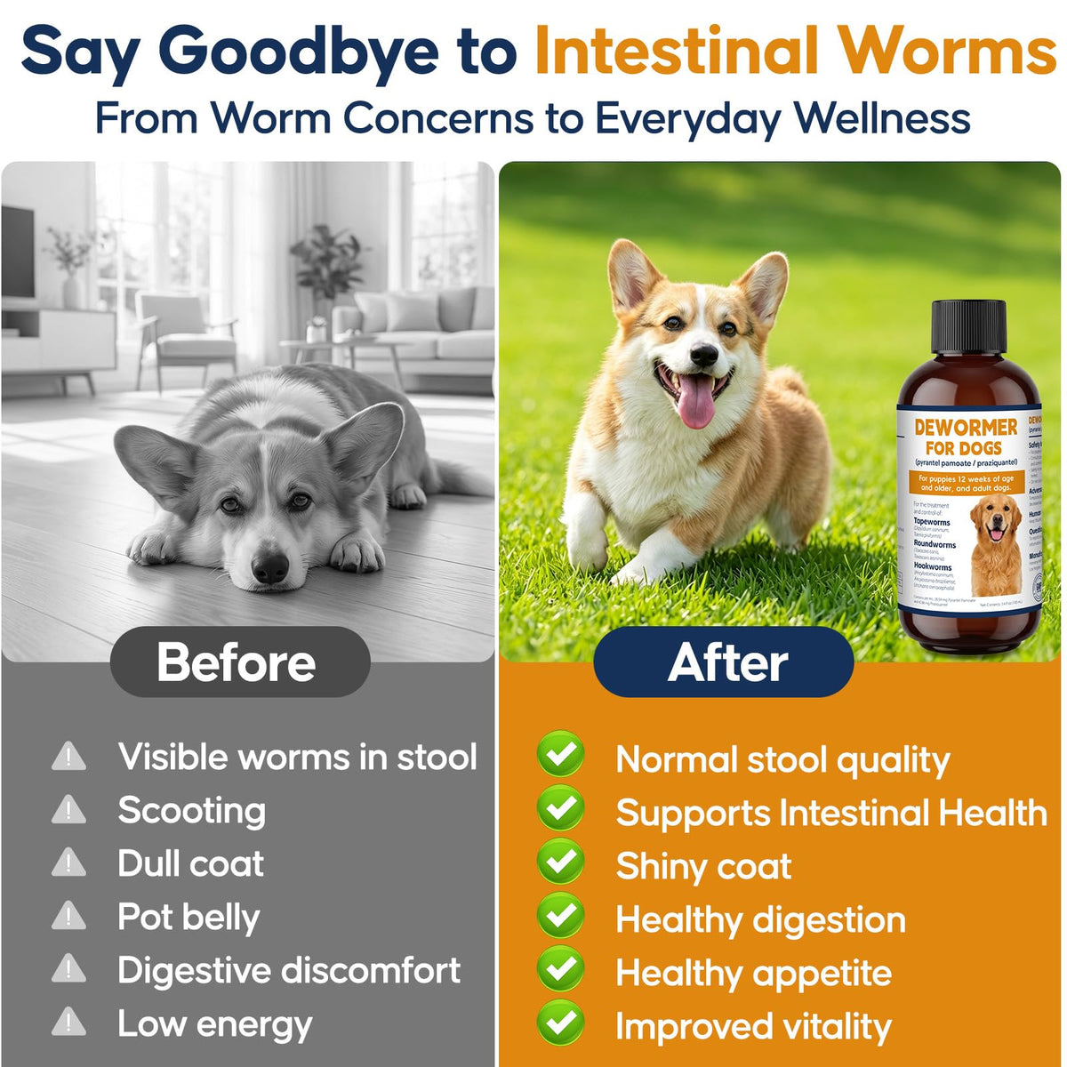 Dog and Puppy Oral Liquid Dewormer 100ml C655790