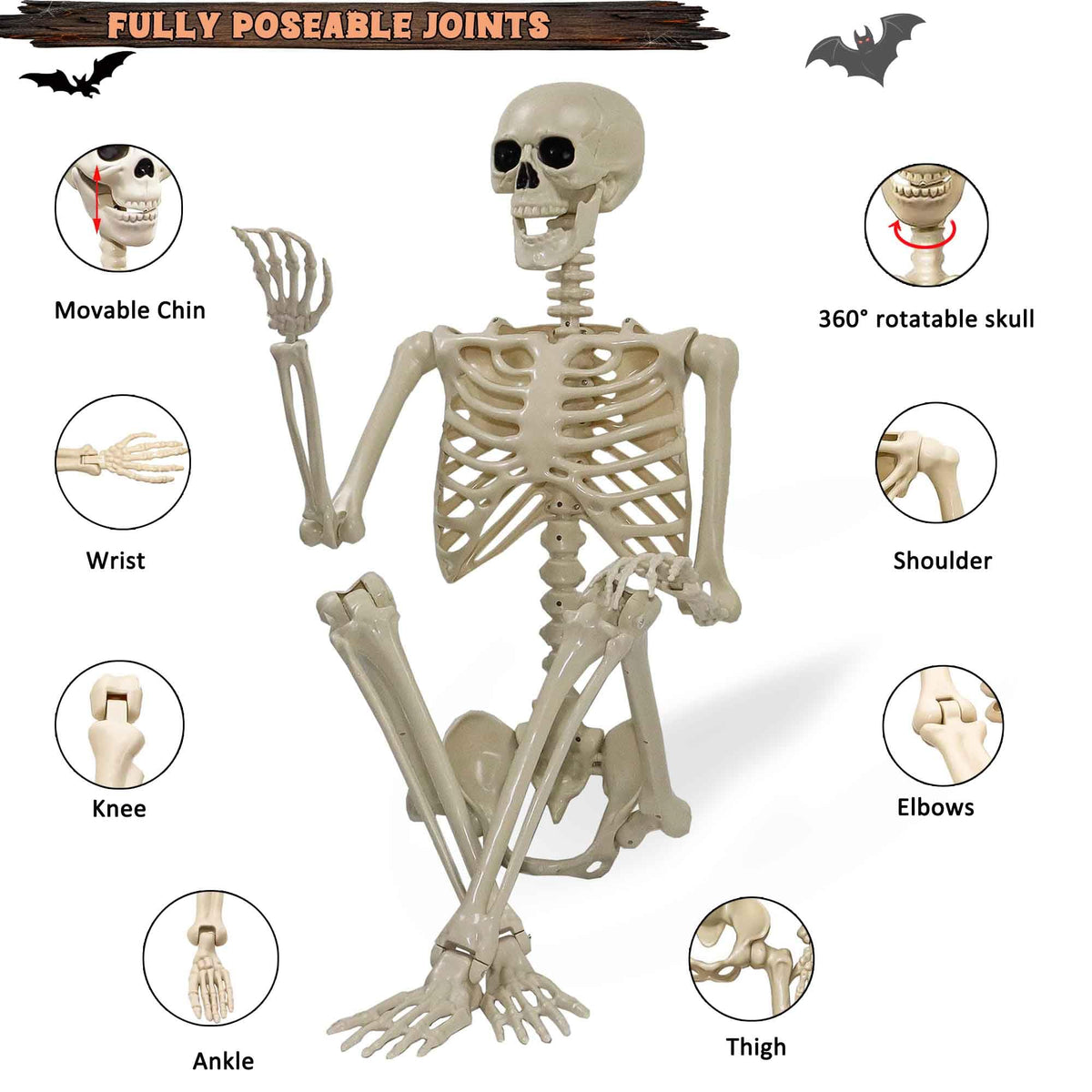 5.4ft Posable Life Size Skeleton with Movable Joints P376753