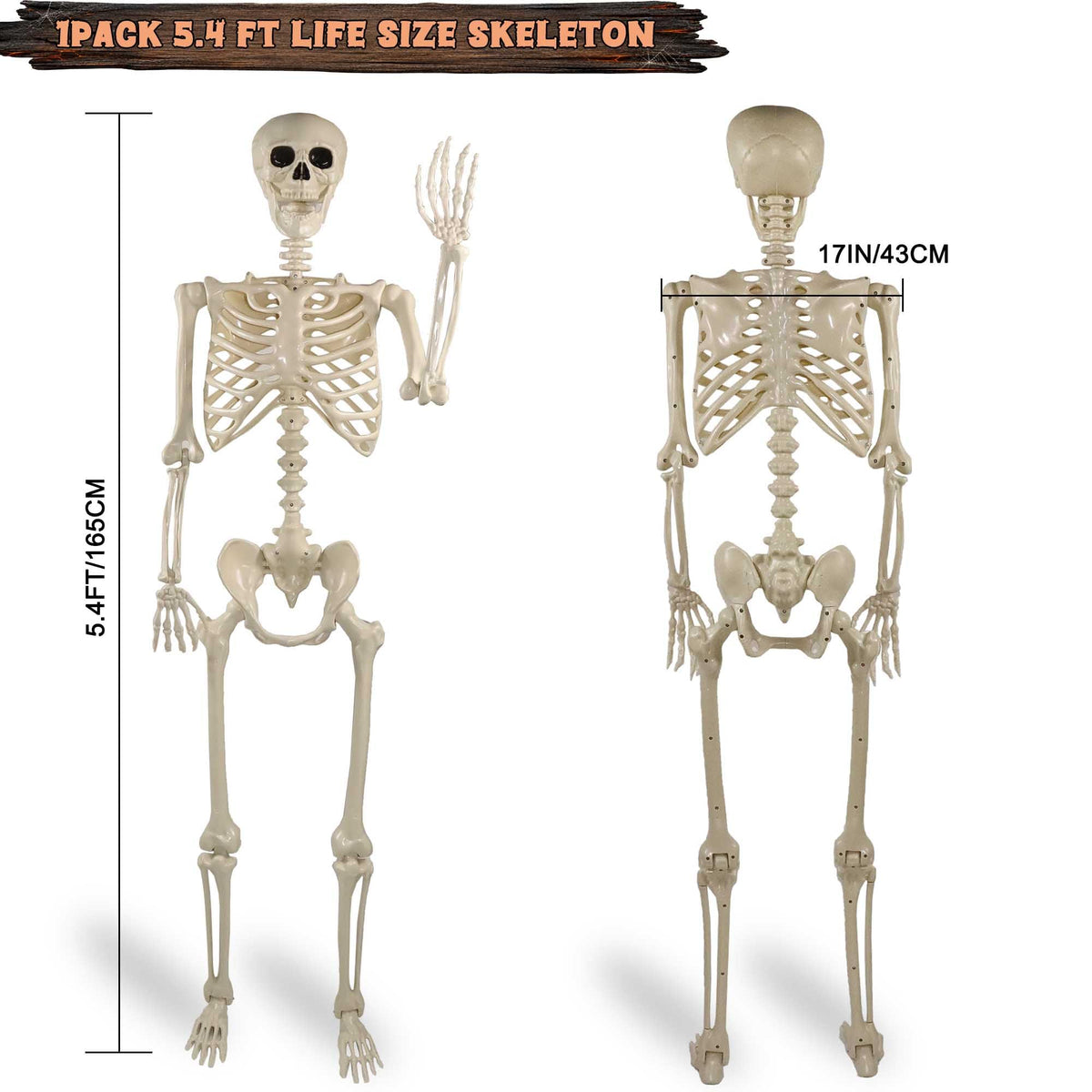 5.4ft Posable Life Size Skeleton with Movable Joints P376753
