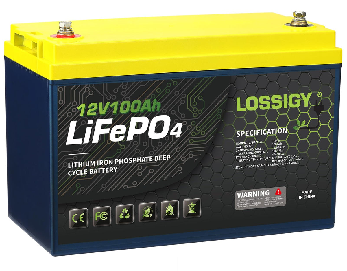 12 Volt 100Ah LiFePO4 Deep Cycle Battery V22814