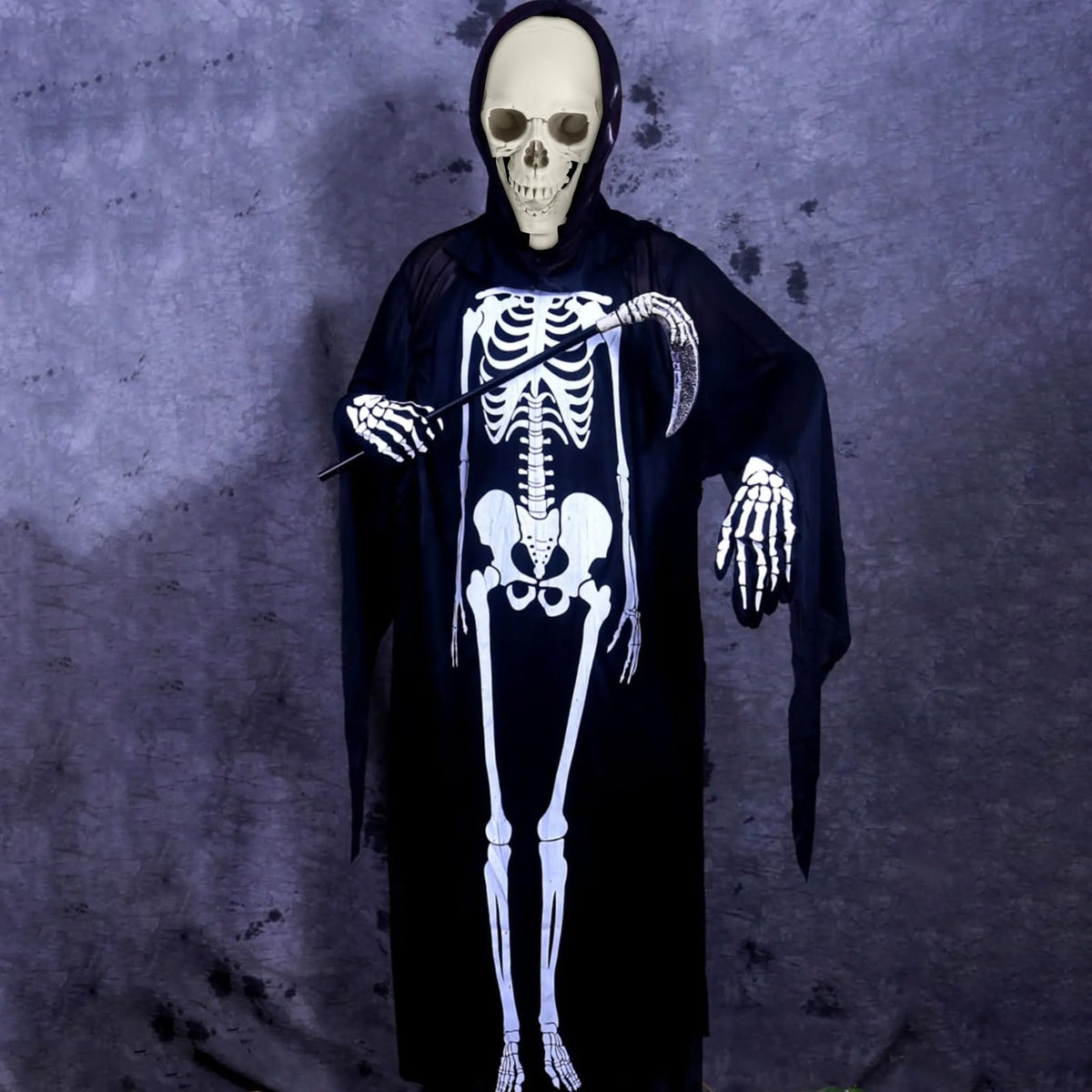 Life Size Plastic Skeleton with Movable Joints V204