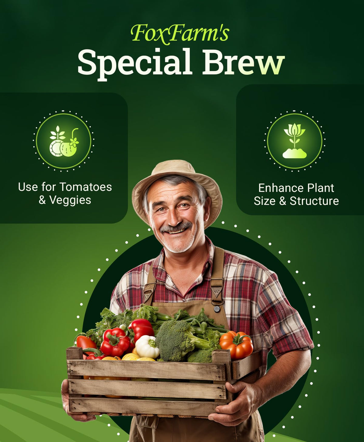 Liquid Plant Fertilizer 3-2-6 1 Pint H1863