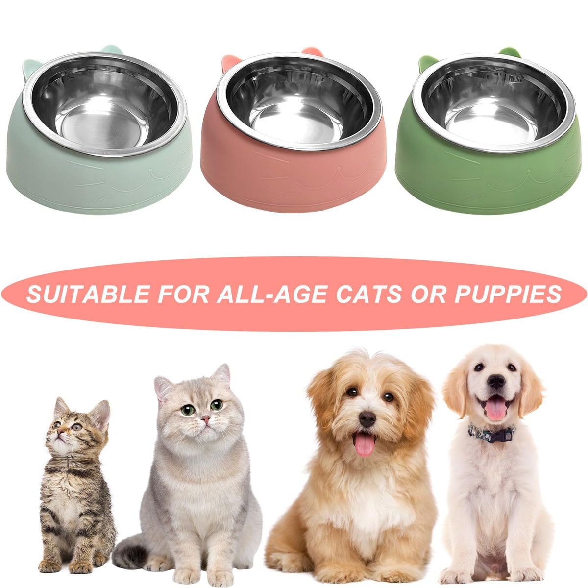 7 Pcs Stainless Steel Raised Cat Food Bowl T465096