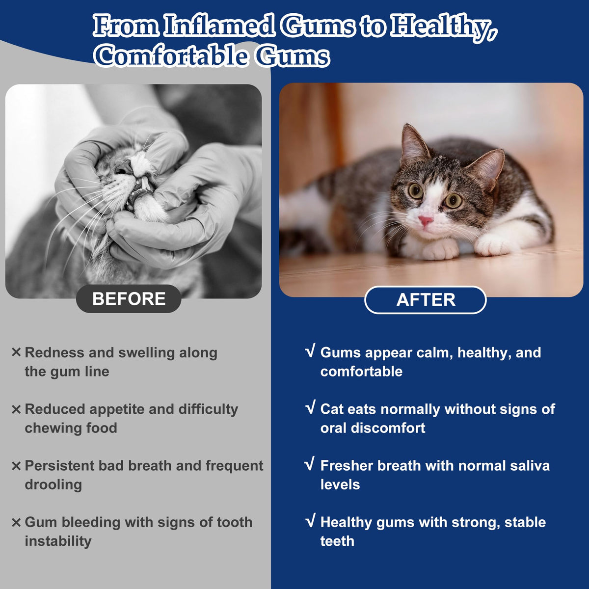 Natural Plant-Based Cat Oral Care W359