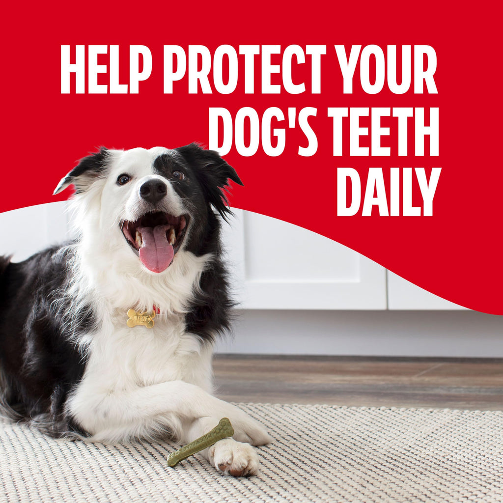Small/Medium Fresh Flavor Dental Treats A828070