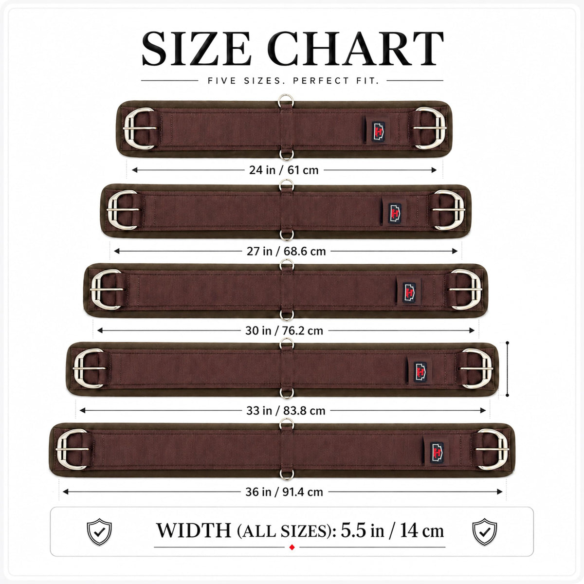 Western Horse Cinch with Stainless Steel Buckles U772969