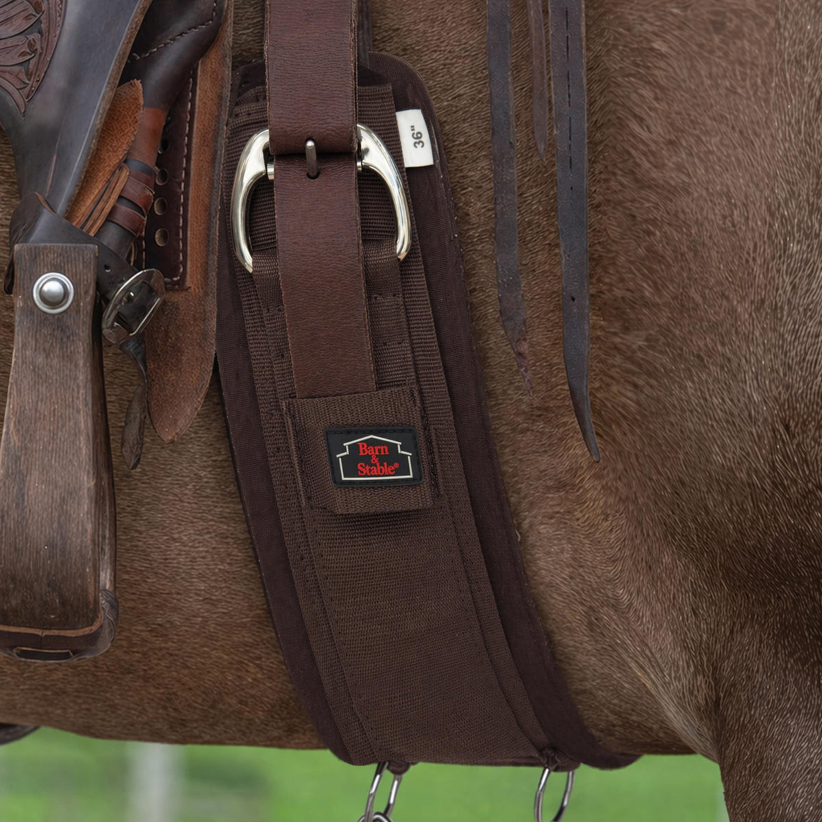 Western Horse Cinch with Stainless Steel Buckles U772969
