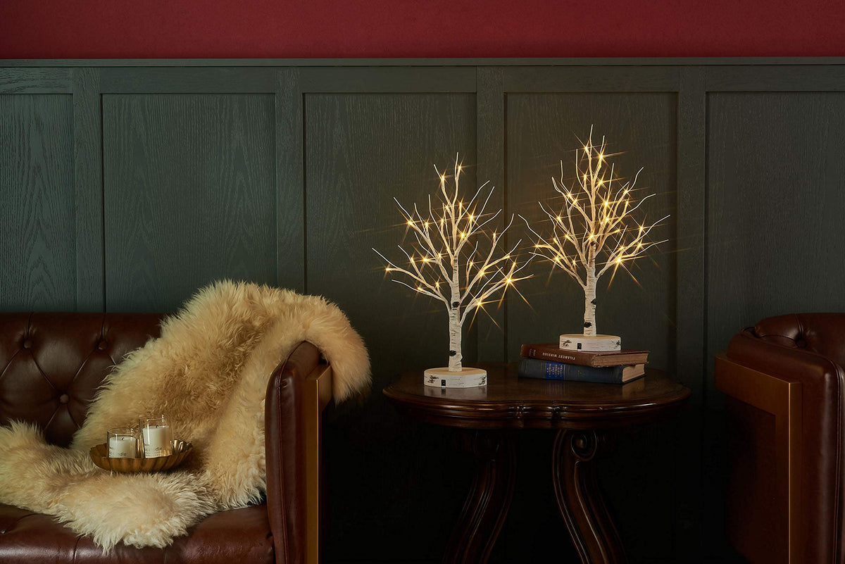 Lighted Birch Tree with Timer 18IN 24 LED C487