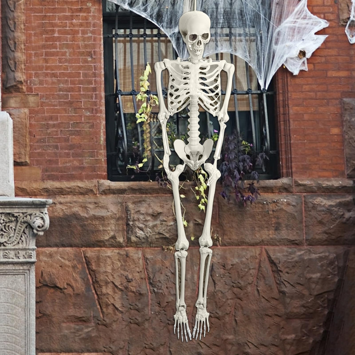 Life Size Plastic Skeleton with Movable Joints V204