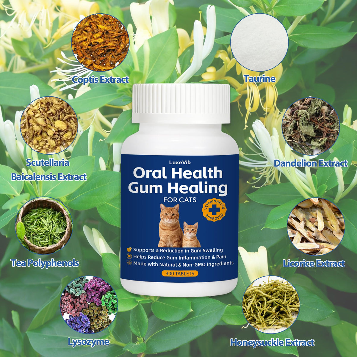 Natural Plant-Based Cat Oral Care W359