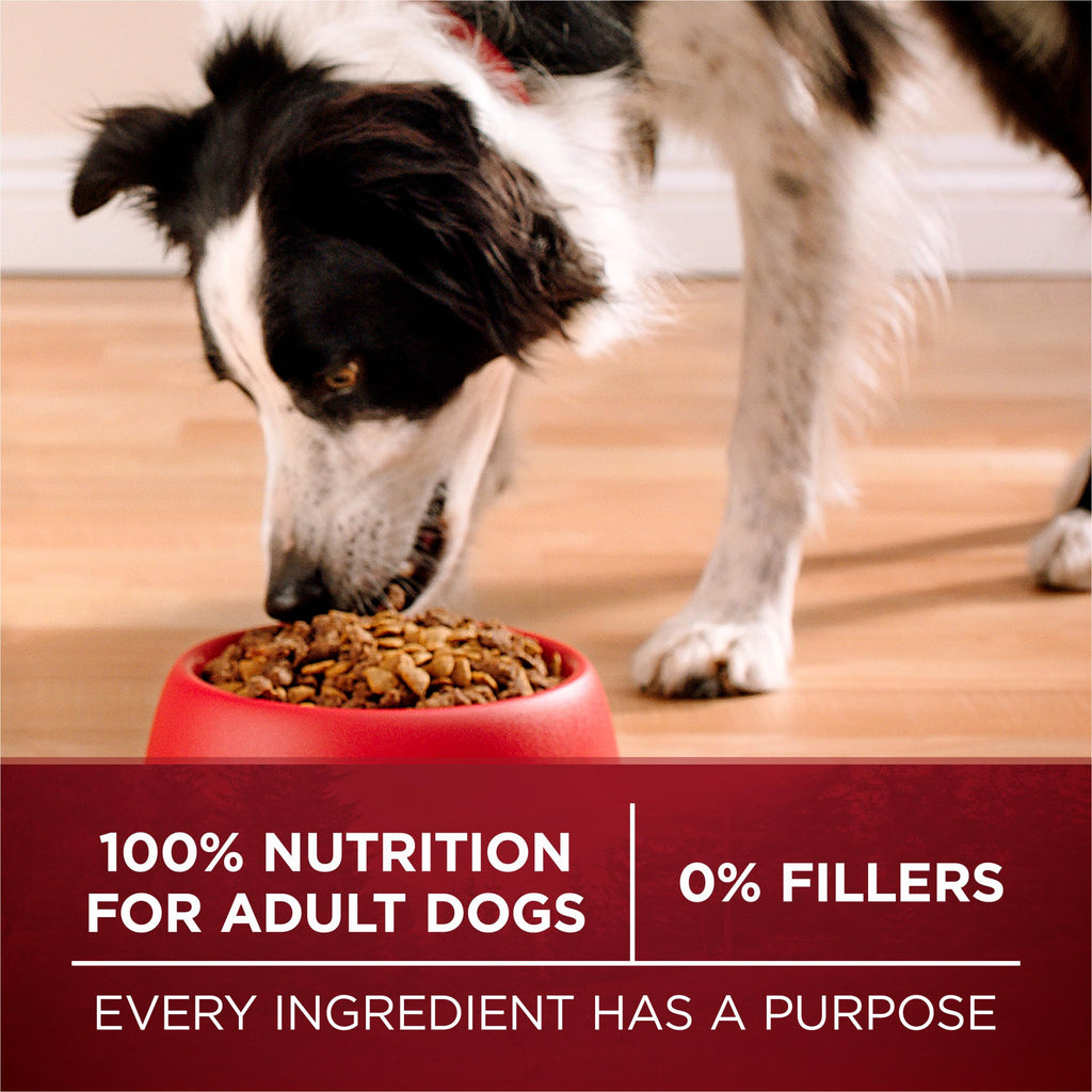 High Protein Chicken & Duck Dog Food Y60981